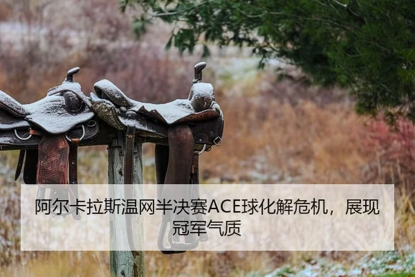 a-er-ka-la-si-wen-wang-ban-jue-sai-qiu-hua-jie-wei-ji-zhan-xian-guan-jun-qi-zhi-2-564.jpg