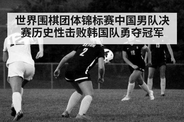 世界围棋团体锦标赛中国男队决赛历史性击败韩国队勇夺冠军