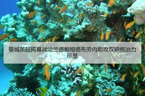 曼城英超揭幕战哈兰德戴帽德布劳内助攻双响统治力尽显