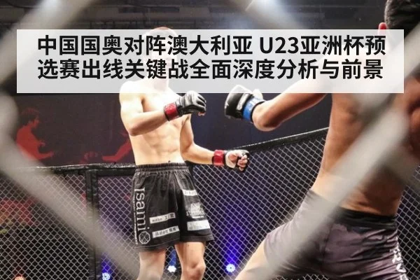 中国国奥对阵澳大利亚 U23亚洲杯预选赛出线关键战全面深度分析与前景